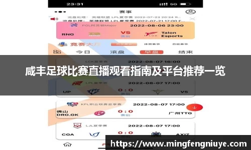 咸丰足球比赛直播观看指南及平台推荐一览