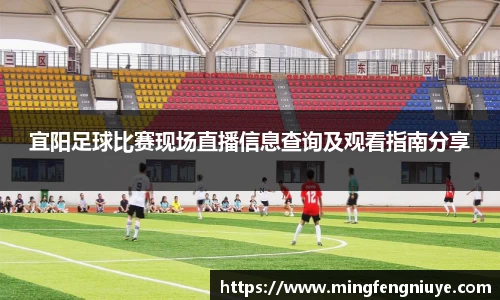 优游国际手机下载