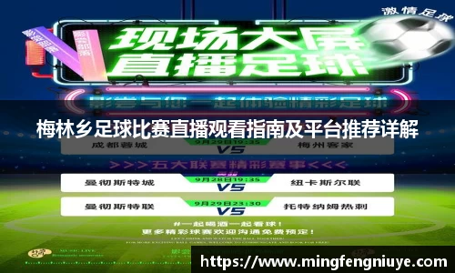 梅林乡足球比赛直播观看指南及平台推荐详解