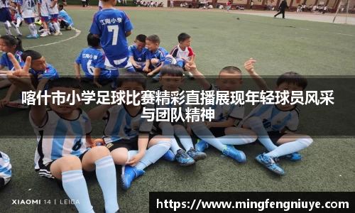 优游国际网址