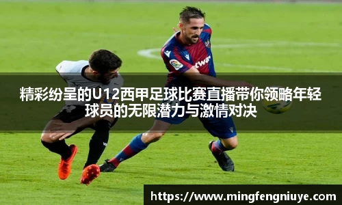 优游国际网址