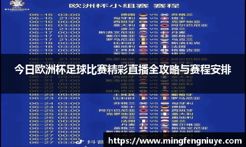 优游国际新版本