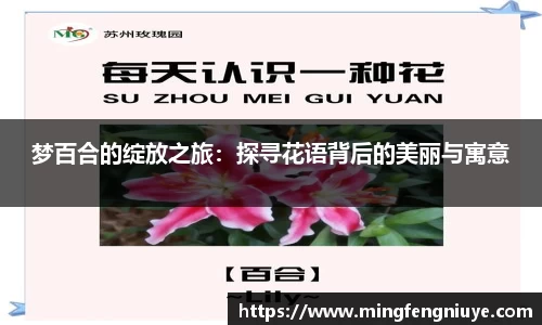 优游国际网址
