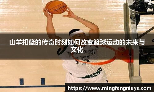 优游国际网址