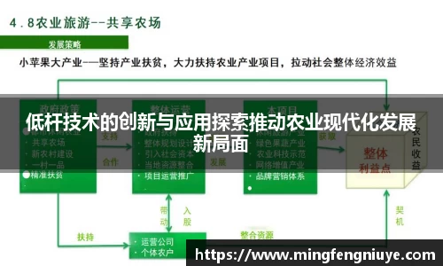 优游国际网址