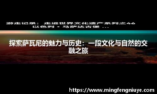 优游国际新版本