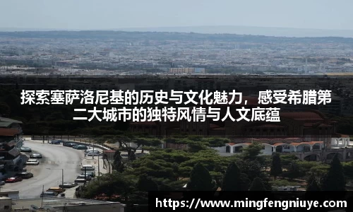 优游国际网址
