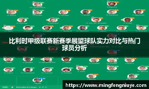比利时甲级联赛新赛季展望球队实力对比与热门球员分析