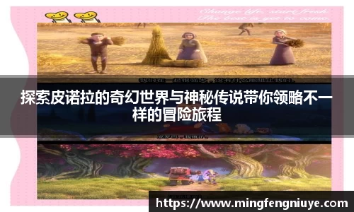 优游国际网址