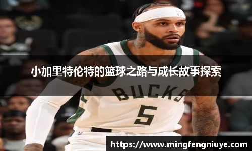 小加里特伦特的篮球之路与成长故事探索