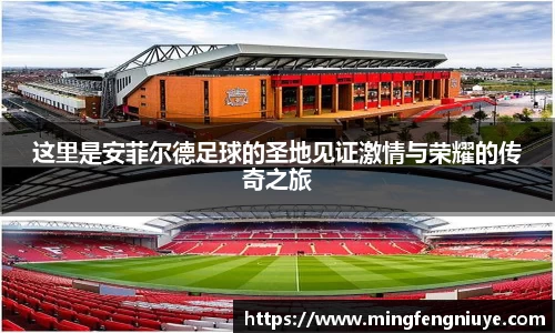 优游国际网址