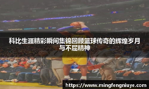 科比生涯精彩瞬间集锦回顾篮球传奇的辉煌岁月与不屈精神