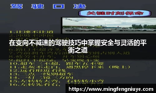 优游国际官方网站