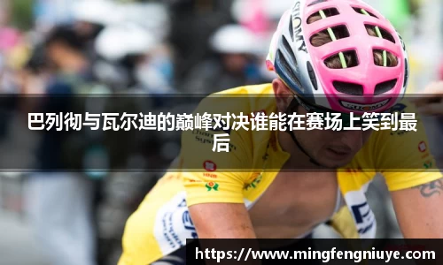 优游国际手机下载